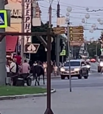 У центрі Луцька хлопці катаються на возі (відео)