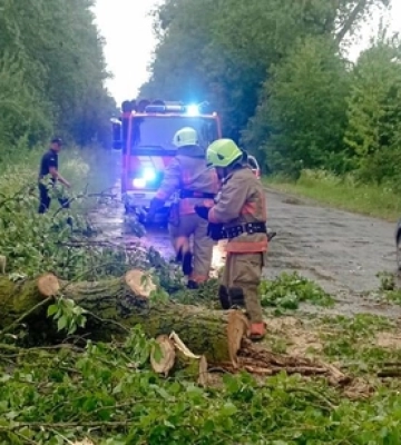 Негода на Волині: зламане дерево заблокувало на дорозі авто