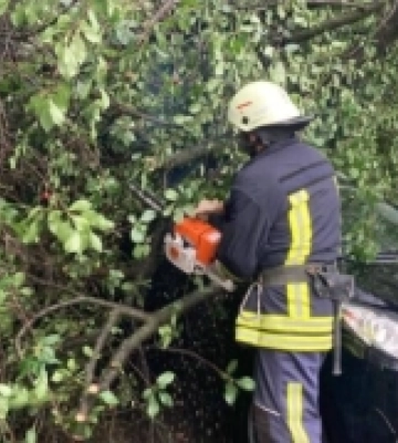 Негода на Волині: зламане дерево заблокувало на дорозі авто