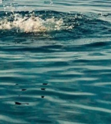 За вихідні на водоймах України загинули 66 людей, з них 10 дітей