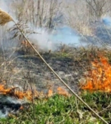 На Волині трапилася пожежа через удар блискавки