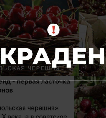россия незаконно присвоила украинский географический бренд &quot;Мелитопольская черешня&quot;