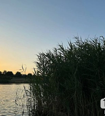 Жарко и безоблачно: какой будет погода в Кривом Роге 16 июля