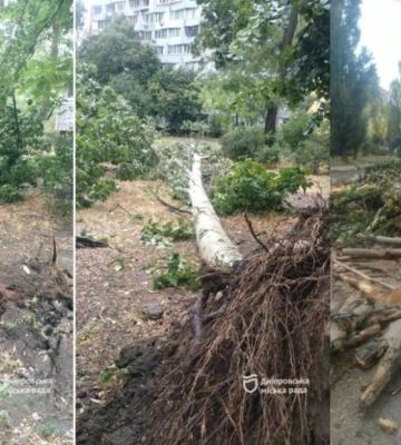 У Дніпрі через негоду повалило дерева та обірвало лінії електропередач