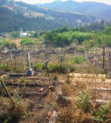 На Закарпатті  горять кладовище, суха трава та сміття