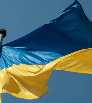 За шесть месяцев открытие ФЛПов в Украине выросло на 11%