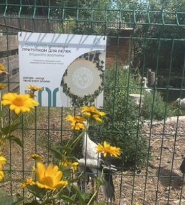 Луцький бренд косметики взяв під опіку лелек у зоопарку 