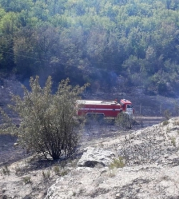 В окупованому Криму знову спалахнула пожежа. Цього разу в Севастополі