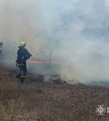 В екосистемах Дніпропетровщини за добу ліквідували 75 пожеж: причини займань