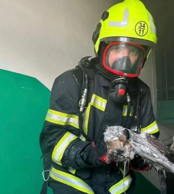 В Вишневом в Киевской области был мощный пожар: что говорят о возгорании в ГСЧС