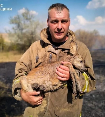В Вишневом в Киевской области был мощный пожар: что говорят о возгорании в ГСЧС