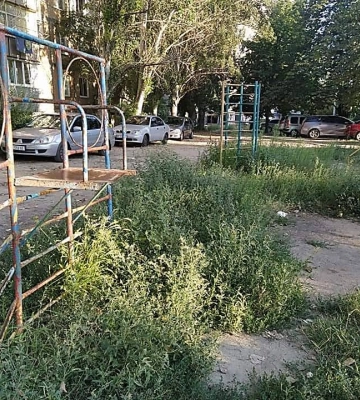 Розпиляли гірку на метал, пісочницю забрали на дрова, територія заросла амброзією: У Миколаєві поскаржились на стан дитячого&amp;hellip;