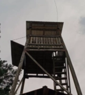 На Волині природоохоронці відремонтували оглядову вежу