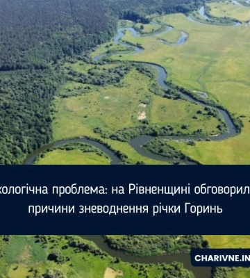 Екологічна проблема: на Рівненщині обговорили причини зневоднення річки Горинь