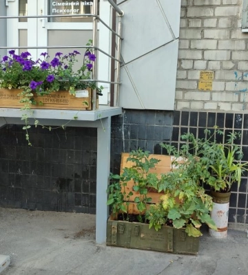 У середмісті Дніпра висадили городину у ящику з-під боєприпасів