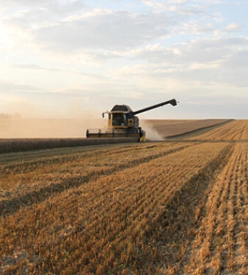 Dnipro Agro Group завершила обмолот озимих