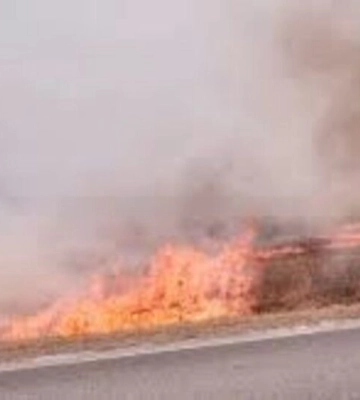В Ізмаїльському районі під час гасіння пожежі вздовж автотраси виявлено обгоріле тіло жінки