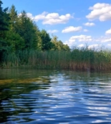 Волинь: як відпочивають біля мальовничого озера в Дубечненській громаді