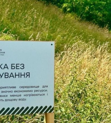 У Києві відмовилися від косіння трави у парках, скверах та на бульварах: відома причина