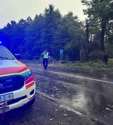Вирувала негода: на Волині сильний вітер повалив дерева