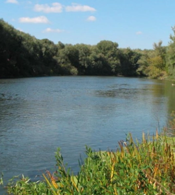 Під Харковом потонула дитина, тіло знайшли тільки за два тижні