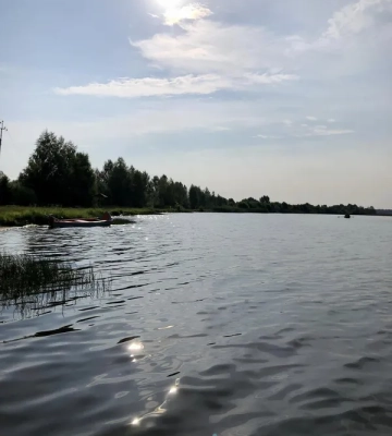 У серці волинського Полісся заховалося мальовниче озеро (відео)