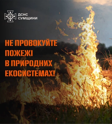 Рятувальники сім разів ліквідовували загоряння на відкритих територіях