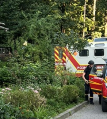 У квітнику в Трускавці знайшли гранату часів ІІ Світової війни