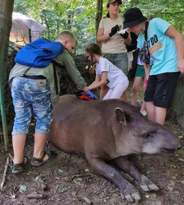 &quot;Спробувати себе в ролі працівника&quot;: у Рівненському зоопарку проведуть екскурсії до Всесвітнього тижня зоокіпера