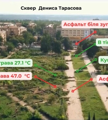 Експеримент у Запоріжжі: на скільки градусів дерева зменшують температуру в місті