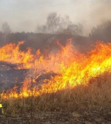На Одещині ледь не вбили жінку