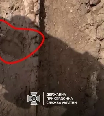 Можна зустріти ведмедів: туристів закликали не відвідувати закриті гірські маршрути у Карпатах