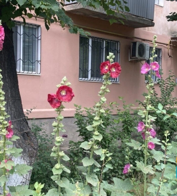 Аномальна спека залишила Одещину, але ненадовго