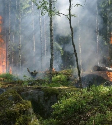 На Київщині з 16 по 18 липня спостерігатиметься надзвичайний рівень пожежної небезпек