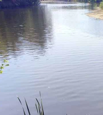 На Полтавщині у водоймі виявили тіло 63-річного чоловіка без ознак життя