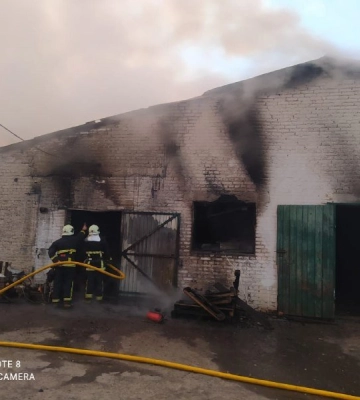 Врятували 700 тварин: у Луцькому районі горів свинарник 