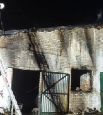 Врятували 700 тварин: у Луцькому районі горів свинарник 