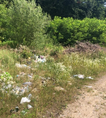 За пів року на Закарпатті екологічна інспекція виявила порушень на понад 45 тис. грн