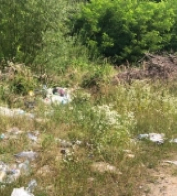 За пів року на Закарпатті екологічна інспекція виявила порушень на понад 45 тисяч гривень