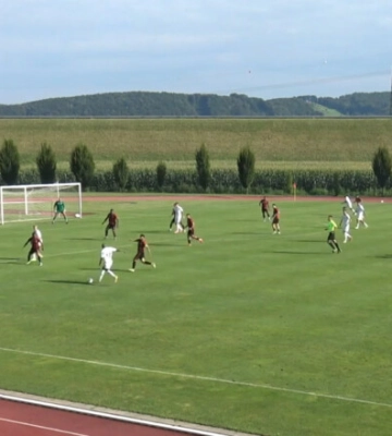 Заря – Аль-Раед – 3:2. Три гола саудитам. Видео голов и обзор матча
