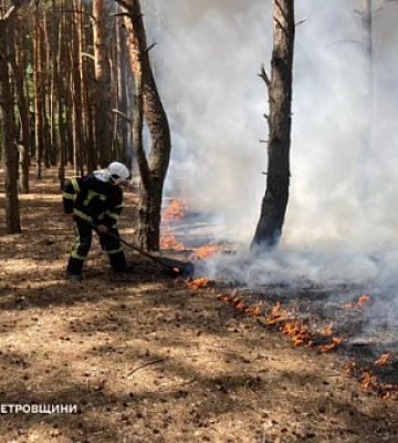 На Дніпропетровщині пожежна небезпека збережеться до кінця тижня