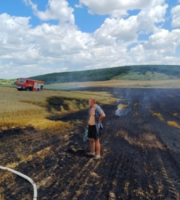 На Волині трапилася пожежа пшениці