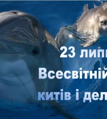 23 липня: свята, народні прикмети, іменинники, події