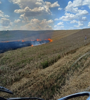 На Волині трапилася пожежа пшениці