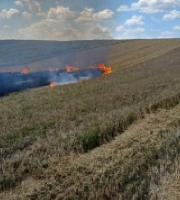 У Сарнівці на полі загорілася пшениця
