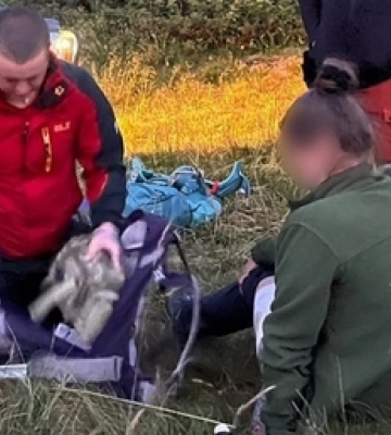 На Закарпатті собака вівчарів покусав туристку з Волині