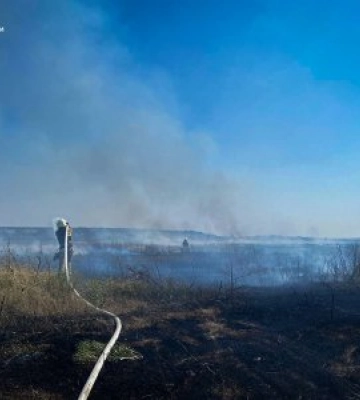 49 пожеж загальною площею майже 100 га за минулу добу як наслідок людської недбалості