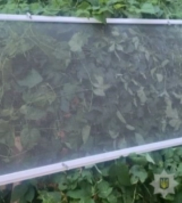 У Луцьку двоє малих дітей випали з вікна