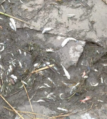 У Білгороді-Дністровському внаслідок пожежі постраждала людина