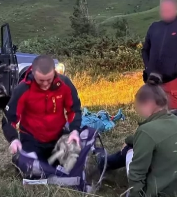 На Закарпатті собака вівчарів покусав туристку з Волині